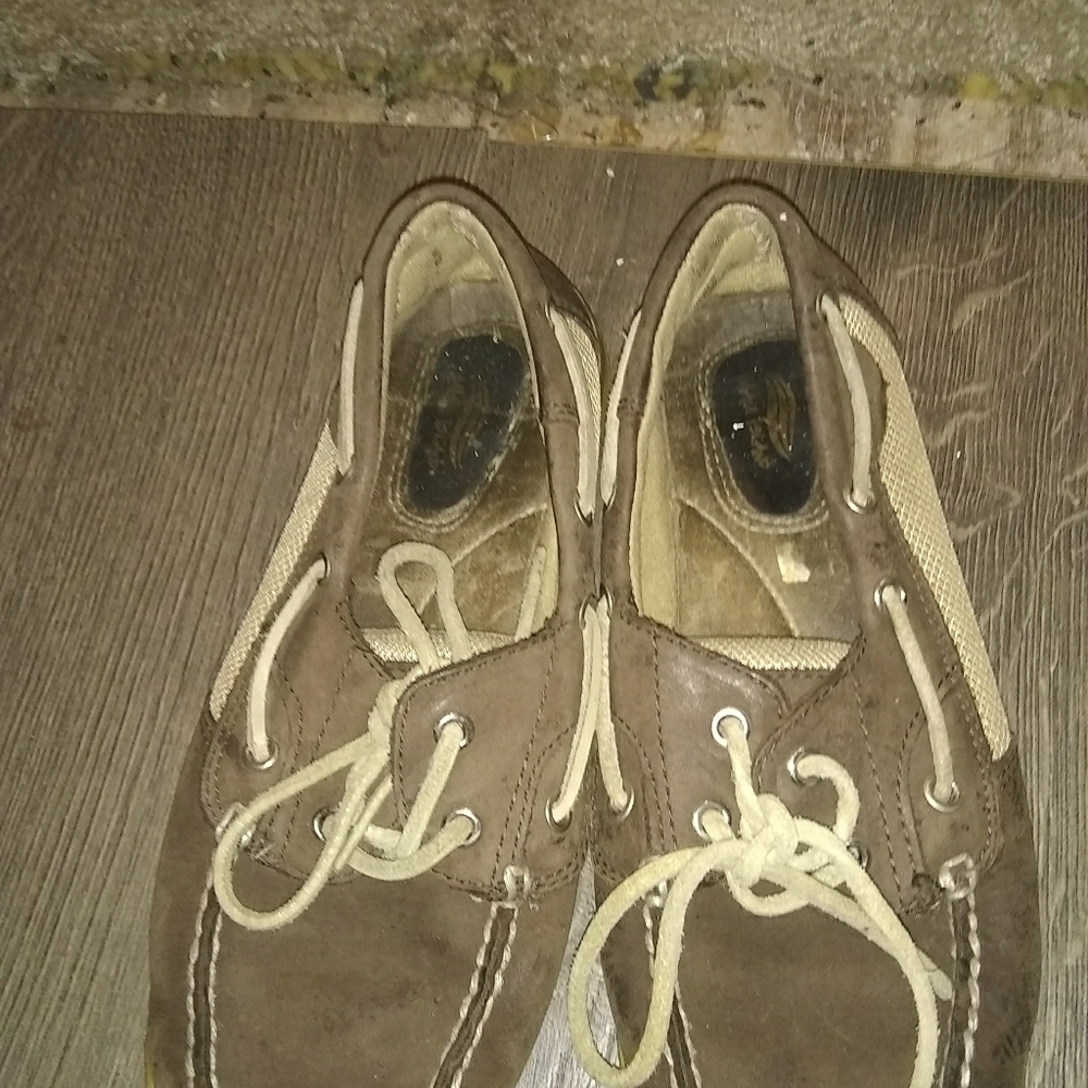 Shoe's